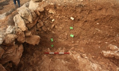 Figure 4. Test pit A1 in Mount Eitan, showing wall repairs and accumulation of terrace infills from several periods discordantly overlying early Holocene soil, as indicated by OSL dating of the section presented. 